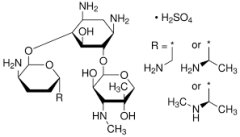 Gentamicin Sulphate (GM)