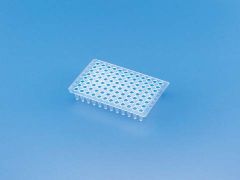 PCR® Non Skirted Plate PP Low Profile 0.1 ml