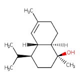 Immersion Oil Synthetic for microscopy (Cedarwood Oil Synthetic, Immersion Oil Thickened)