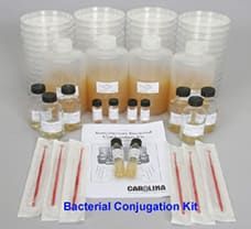 Bacterial Conjugation Teaching Kit, 5 expts.