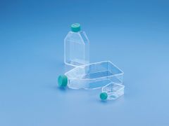 Tissue Culture Flask - Sterile  PS Size cm2. 75 