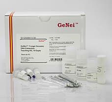 Fungal Genomic DNA Extraction Teaching Kit, 10 expts