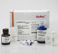Gel Extraction Kit, 100 preps ( Silica -Solution Based)
