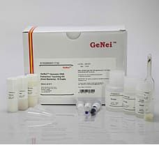  Genomic DNA Extraction Teaching Kit, (from Bacteria) 10 expts