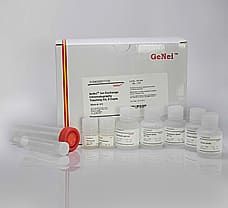 Ion Exchange Chromatography Teaching Kit, 5 expts.