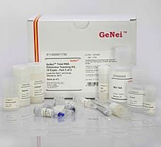 Total RNA Extraction Teaching Kit, 10 expts.