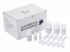 Cambrian Blood gDNA Extraction kit Spin Columns