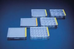 Tissue  culture  test  plate,  96  wells,  U- version, small pack