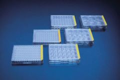 Tissue  culture  test  plate,  96  wells,  U- version