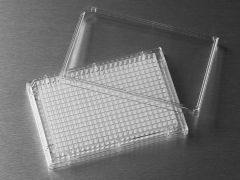 Corning 384 well Clear with Flat Bottom Fibronectin Coated Polystyrene  Microplate with Low Flange, with Lid, 100/case