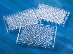 Corning 96 Well Half Area Clear Flat Bottom Polystyrene High Bind Microplate, 25 per Bag, without Lid, Nonsterile