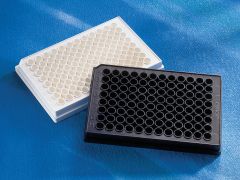 Corning 96 Well Half Area White Flat Bottom Polystyrene NBS Microplate, 25 per Bag, without Lid, Nonsterile