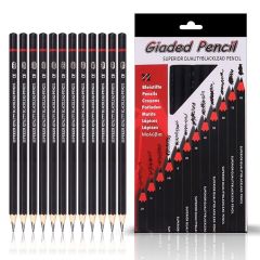  Professional Shading & Drawing Pencils Set - (12 Lead Pencils)