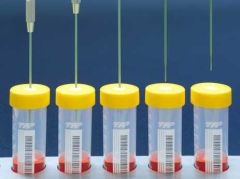 TubeSpin®  Bioreactor  50  with  septum (for robotic loading)