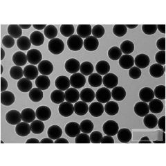Silicon Dioxide Nanopowder (Nano Silica) -50 gm